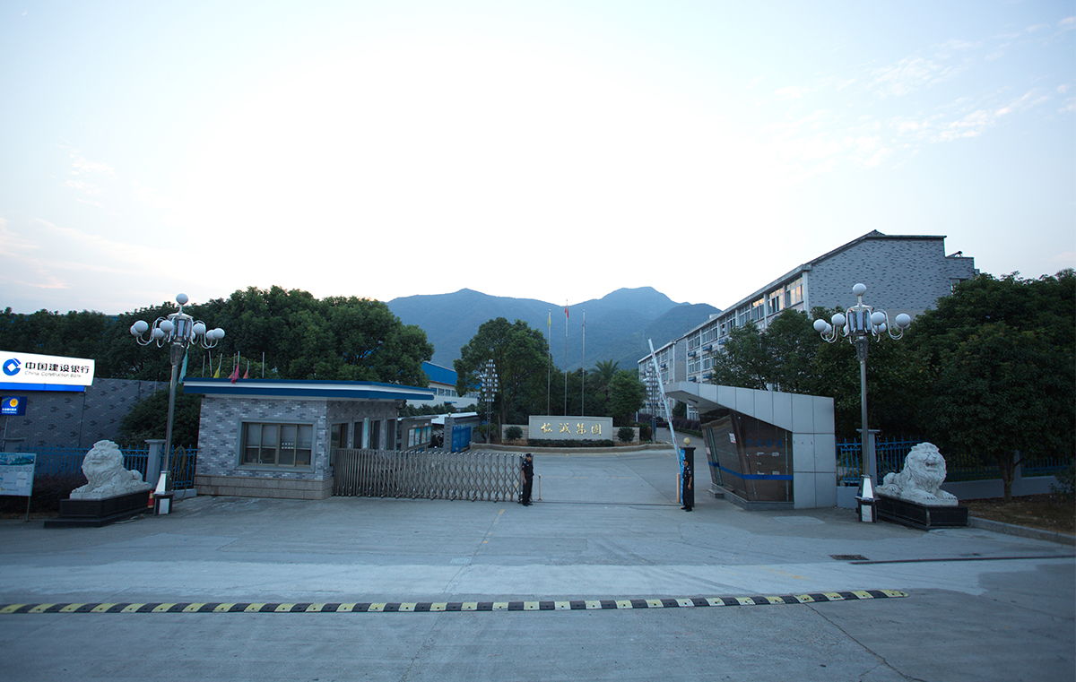 Motor manufacturing line — in-house since 1986